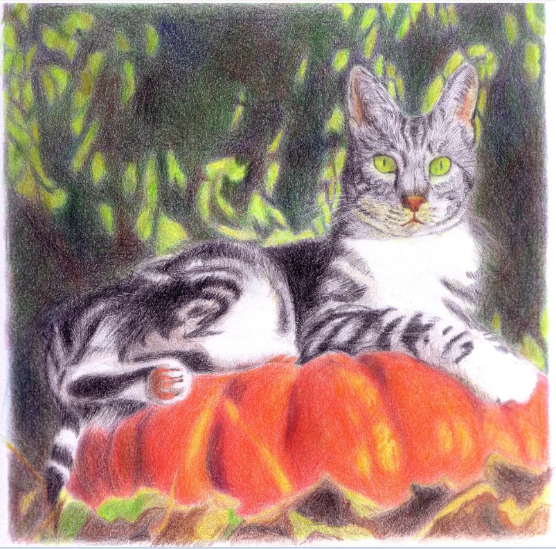 Apprendre-à-dessiner-crayons-de-couleur
