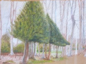 dessin au pastel sec- Droits réservés- N. Avril