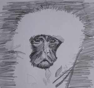 Dessin au crayon- Droits Réservés- Cours Avril Nathalie